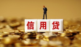 成都4哪有个人借贷-成都4小额贷款公司-成都4私借空放免费上门