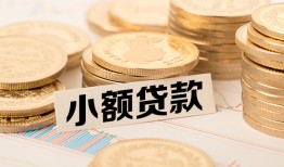 成都4身份证贷款平台-成都4私人借贷不查征信-成都4空放借钱